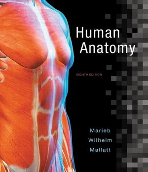 Human Anatomy; Elaine N. Marieb, Jon B. Mallatt, Patricia Brady Wilhelm; 2016