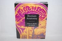 Human anatomy; Elaine Nicpon Marieb; 1997