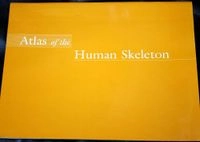 Human anatomy