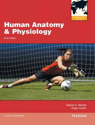 Human anatomy and physiology; Elaine Nicpon Marieb; 2013