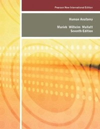 Human Anatomy: Pearson New International Edition / Brief Atlas of the Human Body, A (ValuePack Only): Pearson New International Edition