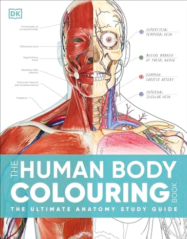 Human Body Colouring Book; Dk; 2024