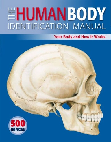 Human Body Identification Manual; Ken Ashwell; 2010