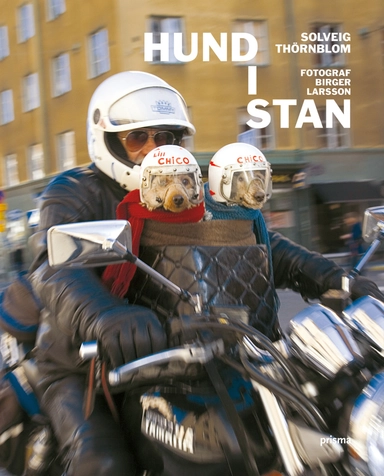 Hund i stan; Solveig Sigridsdotter Thörnblom; 2008