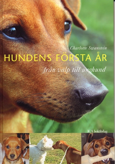 Hundens första år : från valp till unghund; Charlotte Swanstein; 2005