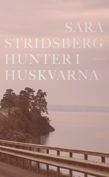 Hunter i Huskvarna; Sara Stridsberg; 2021