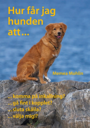 Hur får jag hunden att...?; Memea Mohlin; 2009