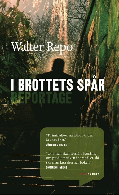 I brottets spår : reportage