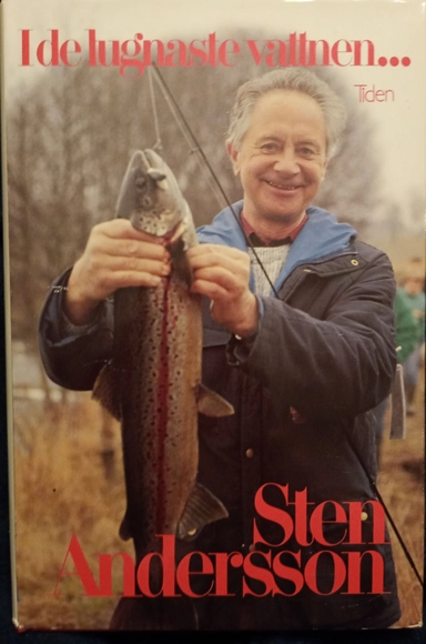 I de lugnaste vattnen...; Sten Andersson; 1993