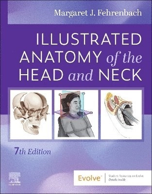 Illustrated Anatomy of the Head and Neck; Margaret J. Fehrenbach; 2025