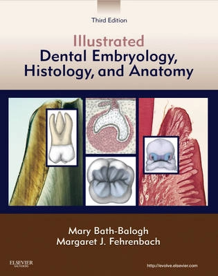 Illustrated dental embryology, histology, and anatomy; Mary Bath-Balogh; 2011