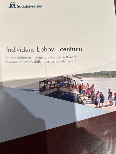 Individens behov i centrum : behovsinriktat och systematiskt arbetssätt med dokumentation av individens behov utifrån ICF; Sverige. Socialstyrelsen; 2016