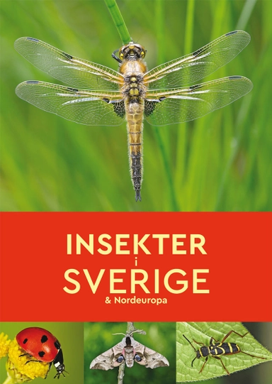 Insekter i Sverige & Nordeuropa; Robert Read; 2019