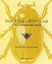 Insekter och spindlar : en fascinerande värld; Claire Beverley, David Ponsonby; 2004
