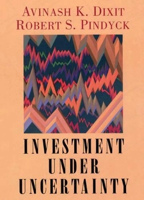 Investment under uncertainty