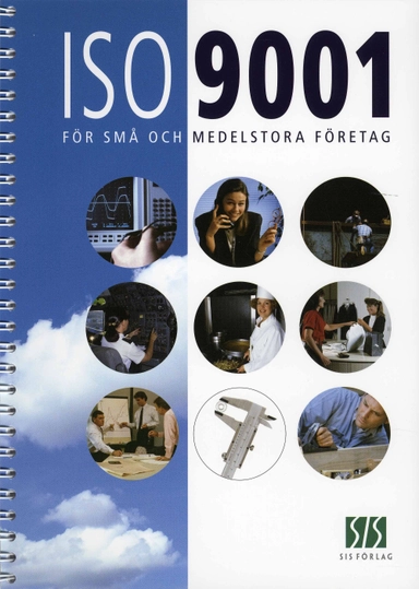 ISO 9001 för små och medelstora företag; Internationella experter inom ISO-kommitéen för kv; 2002