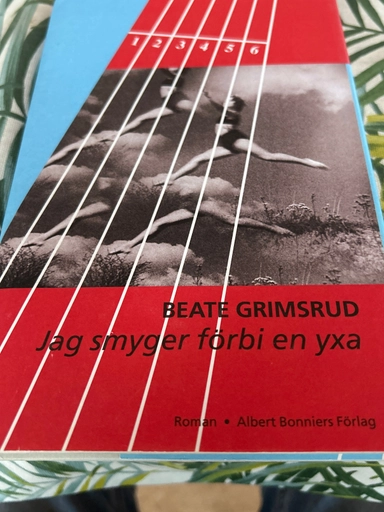 Jag smyger förbi en yxa : roman; Beate Grimsrud; 1999