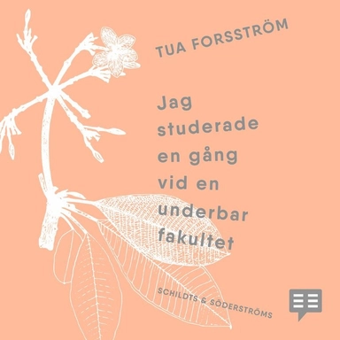 Jag studerade en gång vid en underbar fakultet