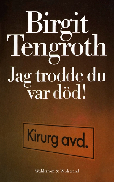 Jag trodde du var död!; Birgit Tengroth; 2017