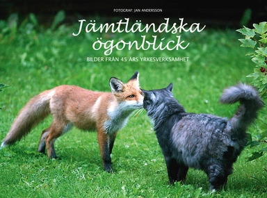 Jämtländska ögonblick : bilder från 45 års yrkesverksamhet