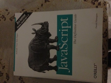 JavaScript : the definitive guide