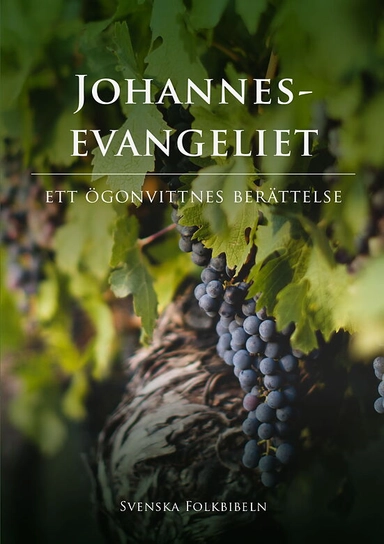 Johannesevangeliet; Stiftelsen Svenska folkbibeln, Biblicum; 2023