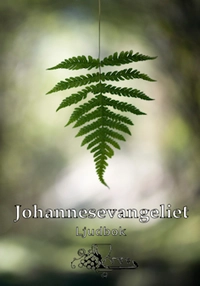 Johannesevangeliet; Svenska Folkbibeln; 2009