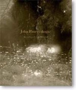 John Bauers skogar
