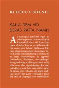 Kalla dem vid deras rätta namn : amerikanska kriser (och essäer)