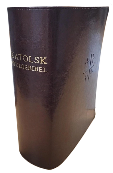 Katolsk studiebibel : Bibel 2000 med katolska kommentarer