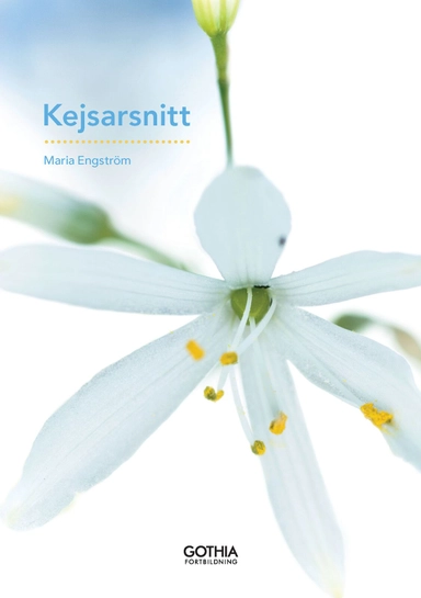 Kejsarsnitt; Maria Engström; 2011