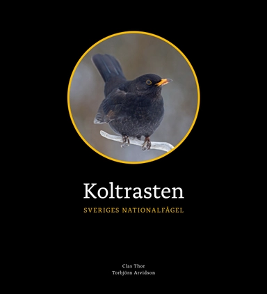 Koltrasten : Sveriges Nationalfågel