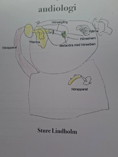 Kompendium i audiologi; Sture Lindholm; 2007
