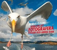 Konsten att fotografera fåglar och andra djur; Brutus Östling; 2013