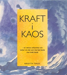 Kraft i Kaos - en rektors erfarenhet om det som inte fick hända men ändå hände