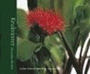 Krukväxter från jordens alla hörn; Susanna Rosén; 2000