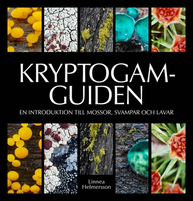 Kryptogamguiden - en introduktion till mossor, svampar och lavar; Linnea Helmersson; 2016
