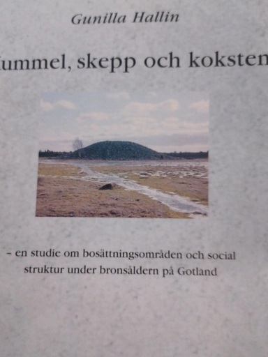 Kummel, skepp och koksten : en studie om bosättningsområden och social struktur under bronsåldern på Gotland; Gunilla Hallin; 2002