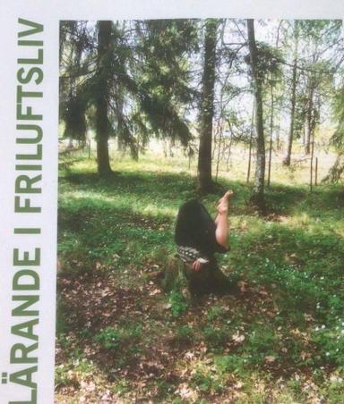 Lärande i friluftsliv : perspektiv och ämnesdidaktiska exempel