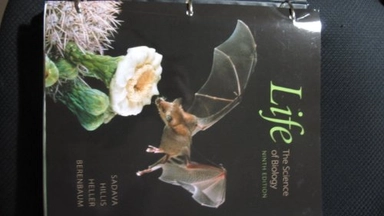 Life : the science of biology