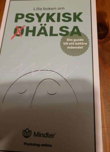 Lilla boken om psykisk ohälsa; Richard Lagerkvist; 2020