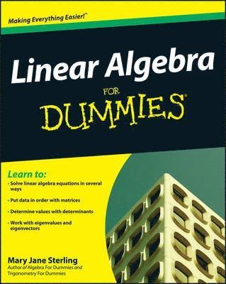 Linear Algebra For Dummies?; Mary Jane Sterling; 2009