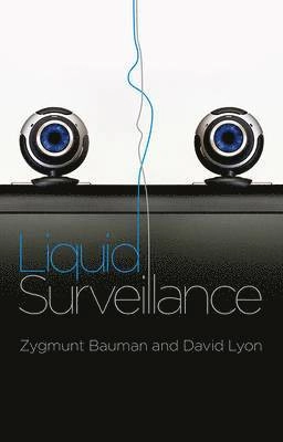 Liquid Surveillance: A Conversation