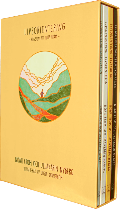 Livsorientering : konsten att hitta fram