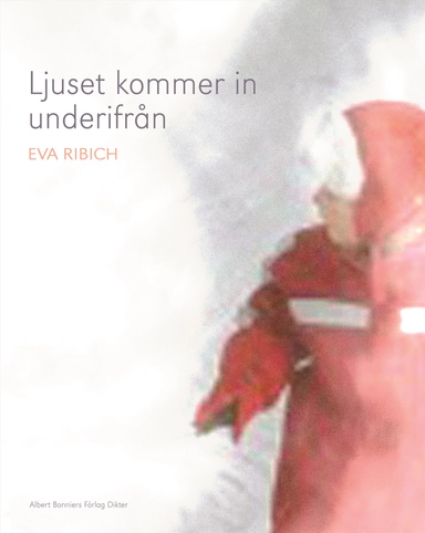 Ljuset kommer in underifrån; Eva Ribich; 2007