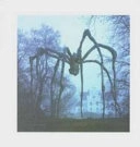 Louise Bourgeois : Maman; Marika Wachtmeister, Griselda Pollock, Bera Nordal, Ingela Lind, Patrick Amsellem; 2007