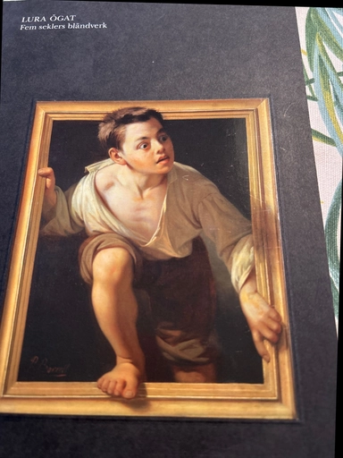 Lura ögat : fem seklers bländverk