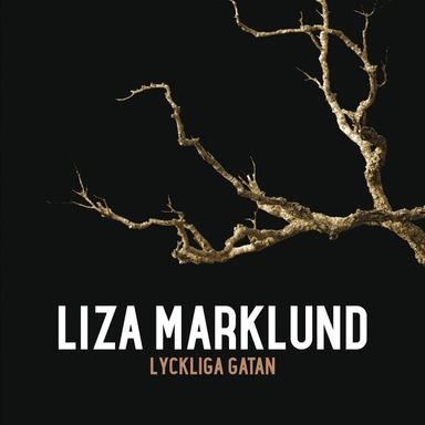 Lyckliga gatan; Liza Marklund; 2013