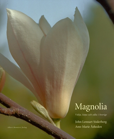 Magnolia : välja, köpa och odla i Sverige; John Lennart Söderberg, Ann-Marie Åsheden; 2004