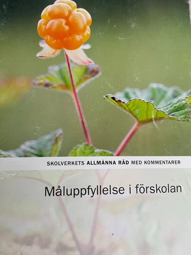 Måluppfyllelse i förskolan; Sverige. Skolverket, Sverige. Skolöverstyrelsen
(tidigare namn), Sverige. Skolöverstyrelsen, Sverige. Myndigheten för skolutveckling; 2017